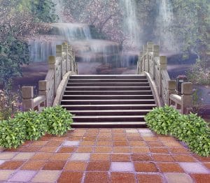 Bridge at Free Financial Advisor