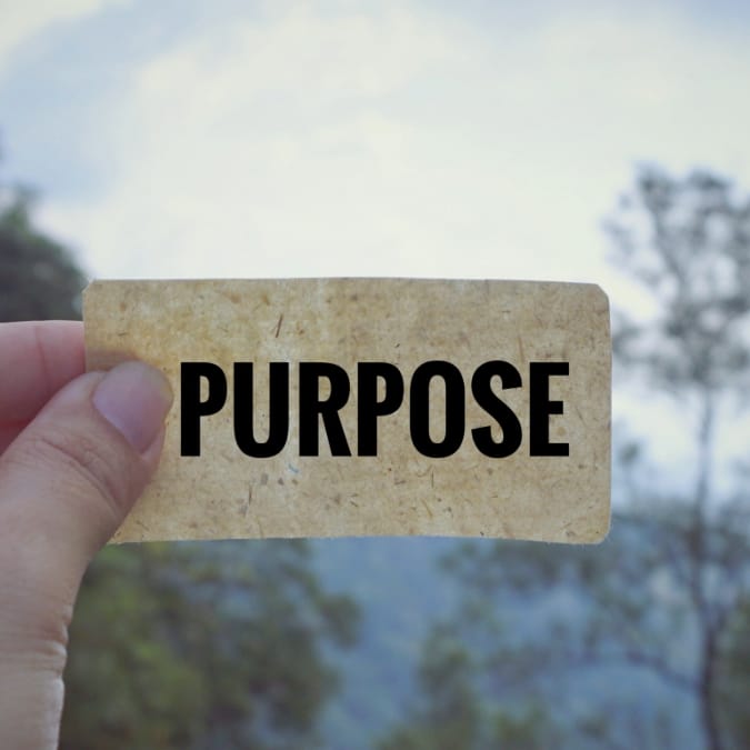 purpose
