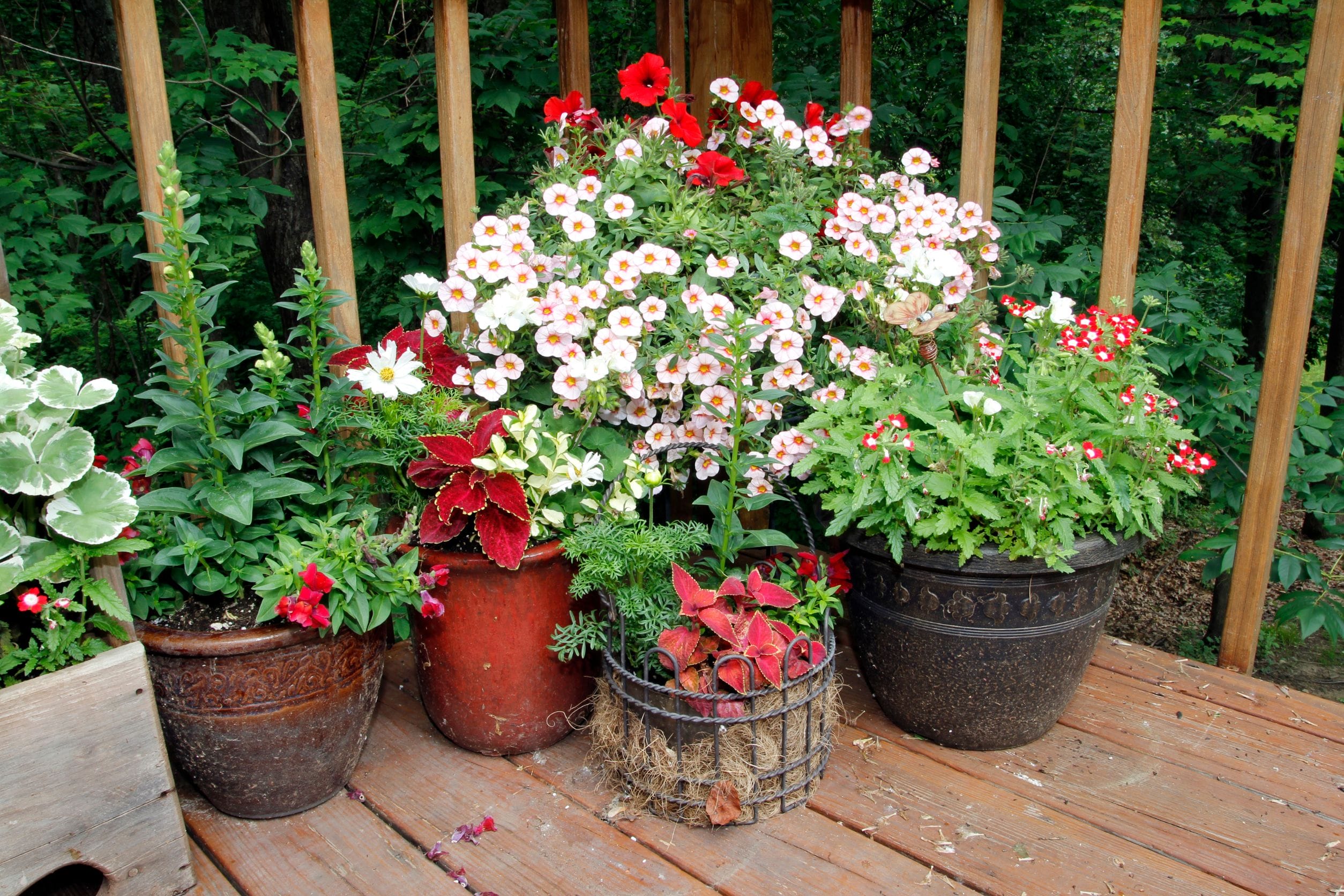 Container Gardening