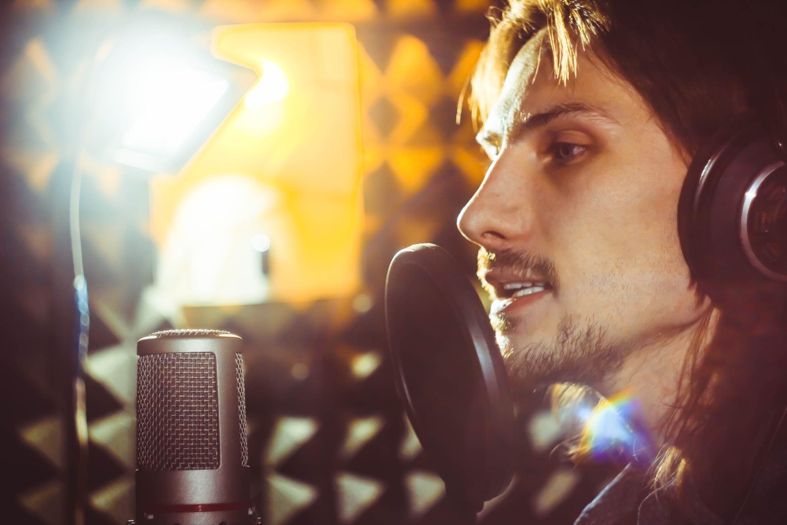 voice