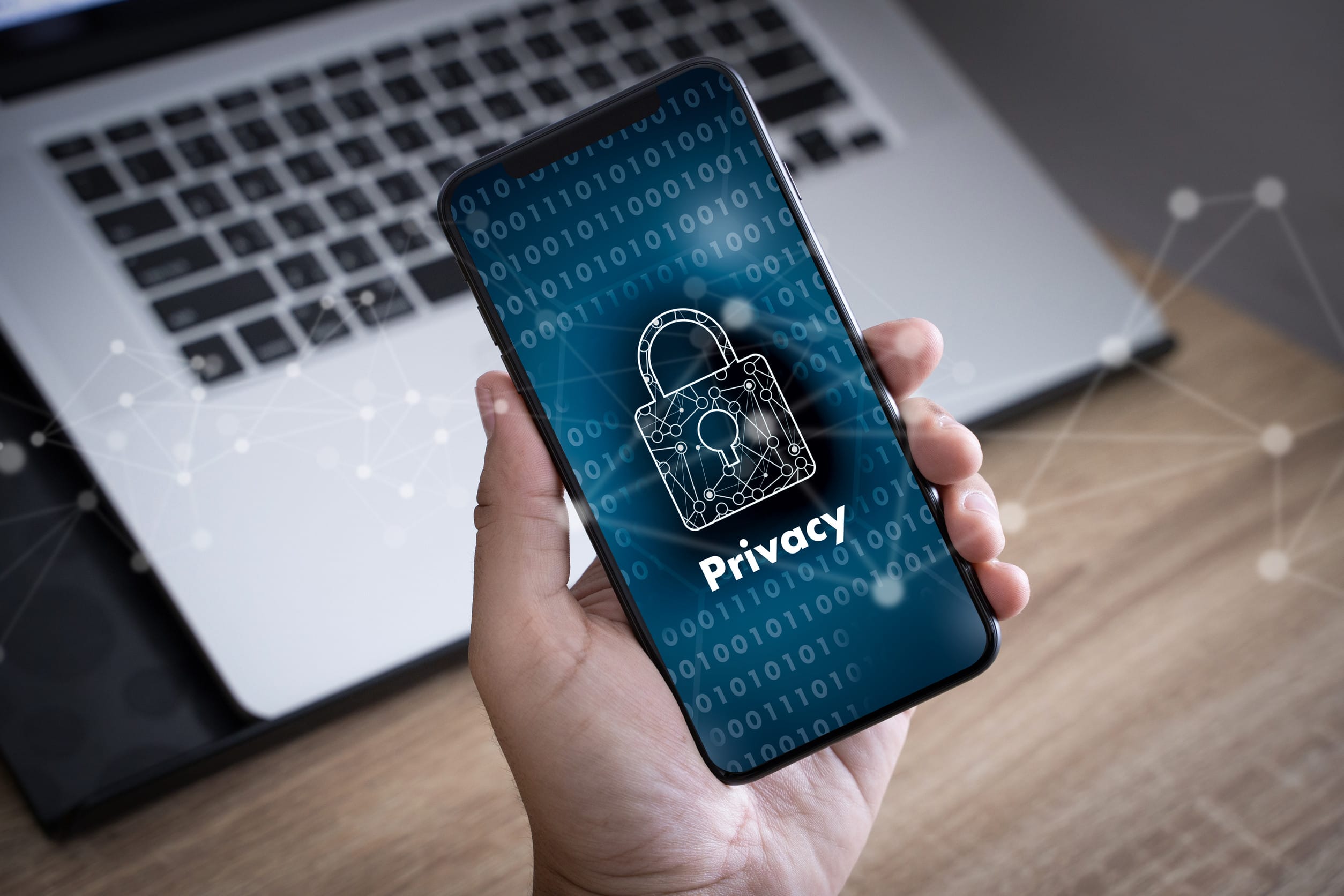 Privacy Access Identification Password Passcode and Privacy