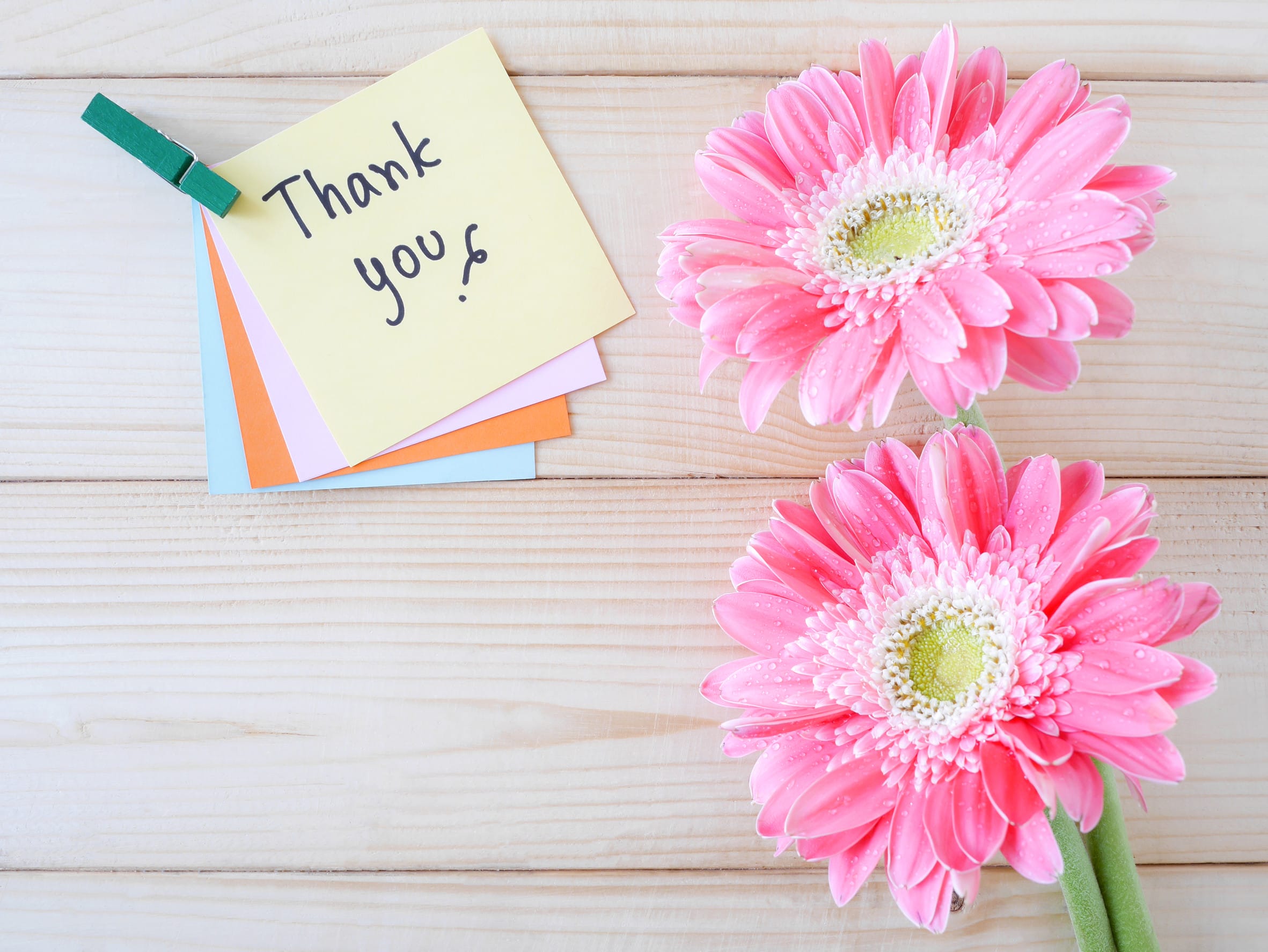 Thank You With Pink Flowers