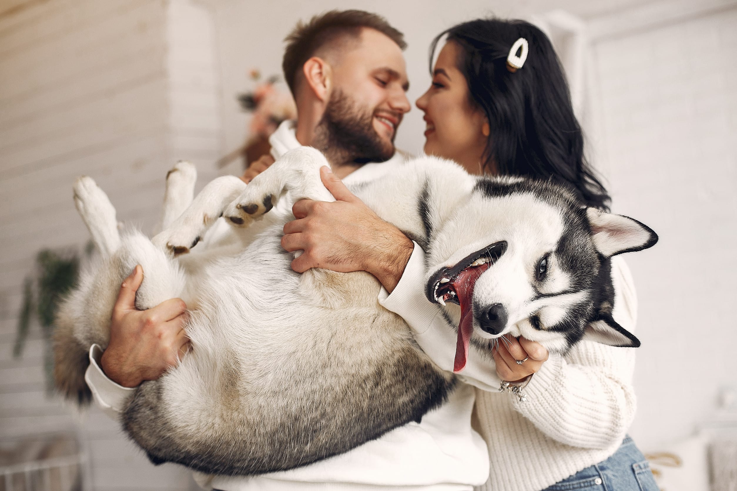 6 Financial Risks Nobody Tells You About Pet Ownership