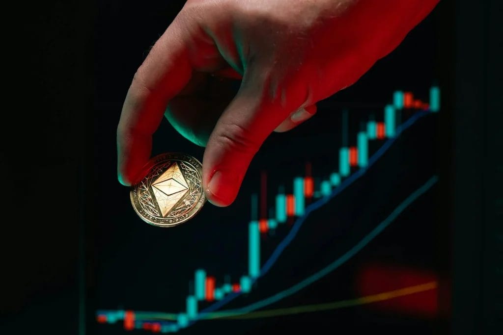 investment 
